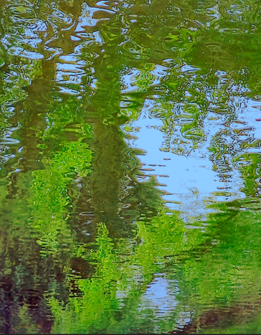 Verde Spring