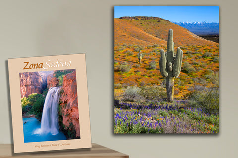 Metal Image Art from ZonaSedona Book - ARIZONA