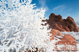 Natural States - Greg Lawson Photography Art Galleries in Sedona
