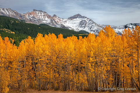 Aspen Heights