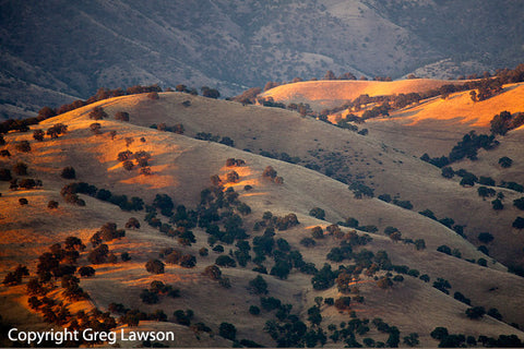 Tehachapi Light - Greg Lawson Photography Art Galleries in Sedona