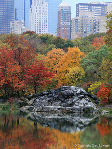 Autumn in New York - Greg Lawson Photography Art Galleries in Sedona
