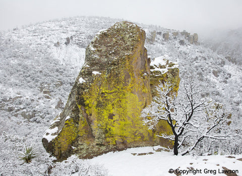 Chiricahua - Greg Lawson Photography Art Galleries in Sedona