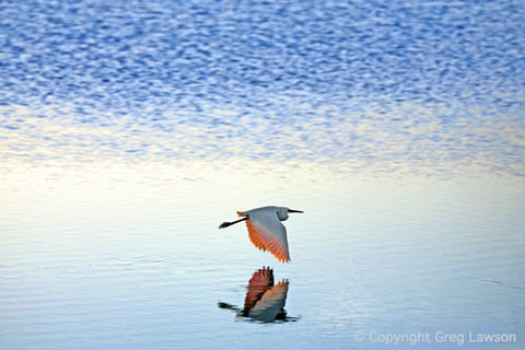 Fly-By Menu - Greg Lawson Photography Art Galleries in Sedona