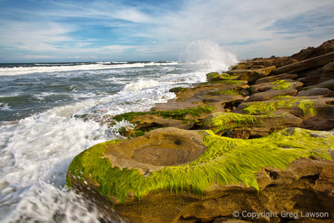 Coquina On The Coast - Greg Lawson Photography Art Galleries in Sedona