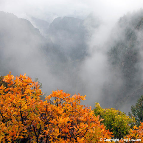 Black Canyon Of The Gunnison - Greg Lawson Photography Art Galleries in Sedona