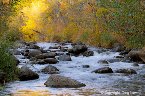 Incandescence - Greg Lawson Photography Art Galleries in Sedona