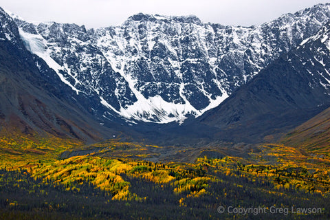 Yukon Intervals - Greg Lawson Photography Art Galleries in Sedona