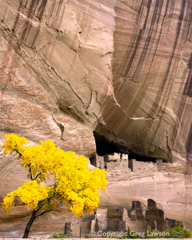 Autumn in the Canyon - Greg Lawson Photography Art Galleries in Sedona