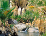 CALIFORNIA<br>In the Beginning - Greg Lawson Photography Art Galleries in Sedona