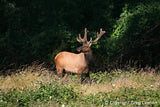 CALIFORNIA<br>In the Beginning - Greg Lawson Photography Art Galleries in Sedona