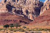 AZ IS<br>- Arizona Imagery - Greg Lawson Photography Art Galleries in Sedona