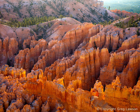 Thousand Canyons - Greg Lawson Photography Art Galleries in Sedona