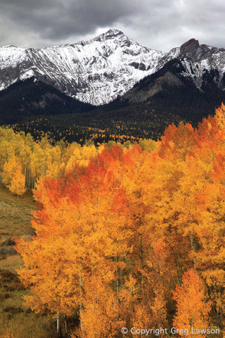 Fall Into Winter - Greg Lawson Photography Art Galleries in Sedona