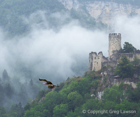 Neu Falkenstein Castle - Greg Lawson Photography Art Galleries in Sedona