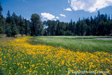 AZ IS<br>- Arizona Imagery - Greg Lawson Photography Art Galleries in Sedona