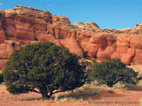 AZ IS<br>- Arizona Imagery - Greg Lawson Photography Art Galleries in Sedona