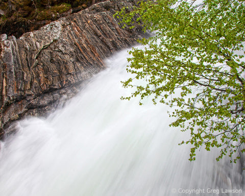 Scandinavian Run - Greg Lawson Photography Art Galleries in Sedona