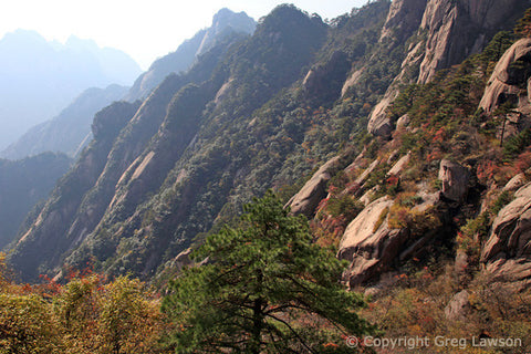 Huangshan Sentry - Greg Lawson Photography Art Galleries in Sedona