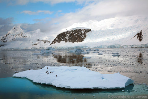 Antarctic Top Ten - Greg Lawson Photography Art Galleries in Sedona