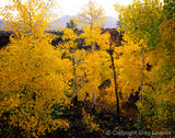 AZ IS<br>- Arizona Imagery - Greg Lawson Photography Art Galleries in Sedona