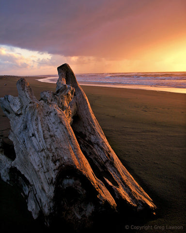 Humboldt Coast - Greg Lawson Photography Art Galleries in Sedona