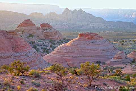 Sandstone Symmetry - Greg Lawson Photography Art Galleries in Sedona