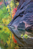 Oak Creek Canyon autumn, Sedona Book, Sedona Heaven Sent, Greg Lawson Photography Art Galleries in Sedona, Arizona