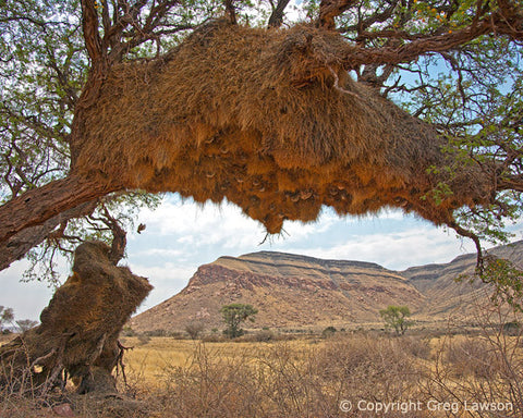 Weaver's Home - Greg Lawson Photography Art Galleries in Sedona