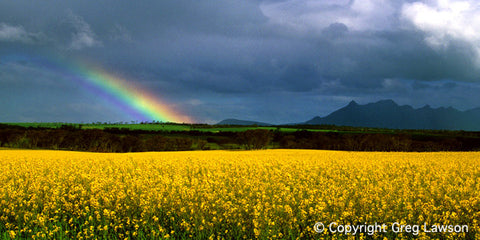 Australian Light - Greg Lawson Photography Art Galleries in Sedona