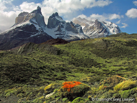 Cuernos del Paine - Greg Lawson Photography Art Galleries in Sedona