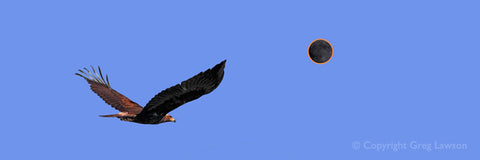 Eclipse 2023 Golden Eagle Panoramic