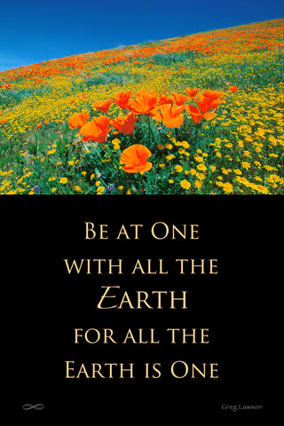 Be At One With All the Earth, for All the Earth is One
