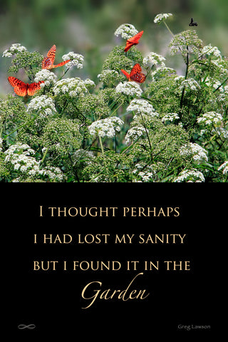 I Thought Perhaps I Had Lost My Sanity but I Found It in the Garden