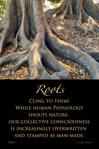 Roots – Cling to them! While Human Physiology Shouts Nature, Our Collective Consciousness is Increasingly Overwritten and Stamped as Man-Made