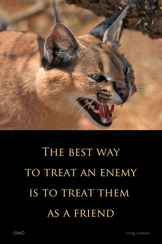 The Best Way to Treat an Enemy is to Treat Them as a Friend