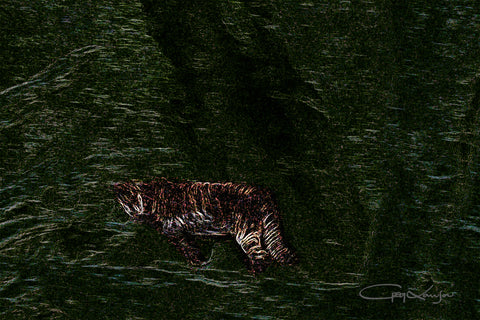 The Abstract Tiger