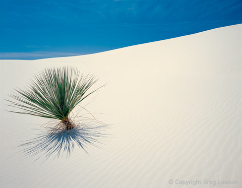 White Sands - Greg Lawson Photography Art Galleries in Sedona